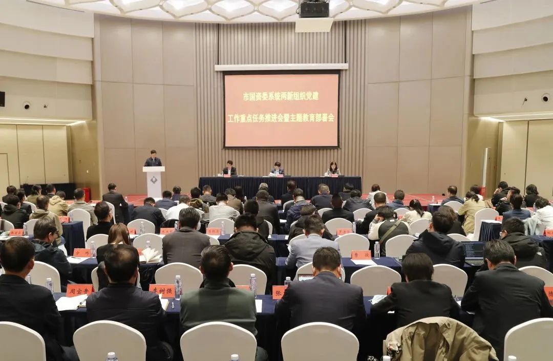 集团党委书记潘寿林在市国资委“两新”组织党建工作会上作专题发言