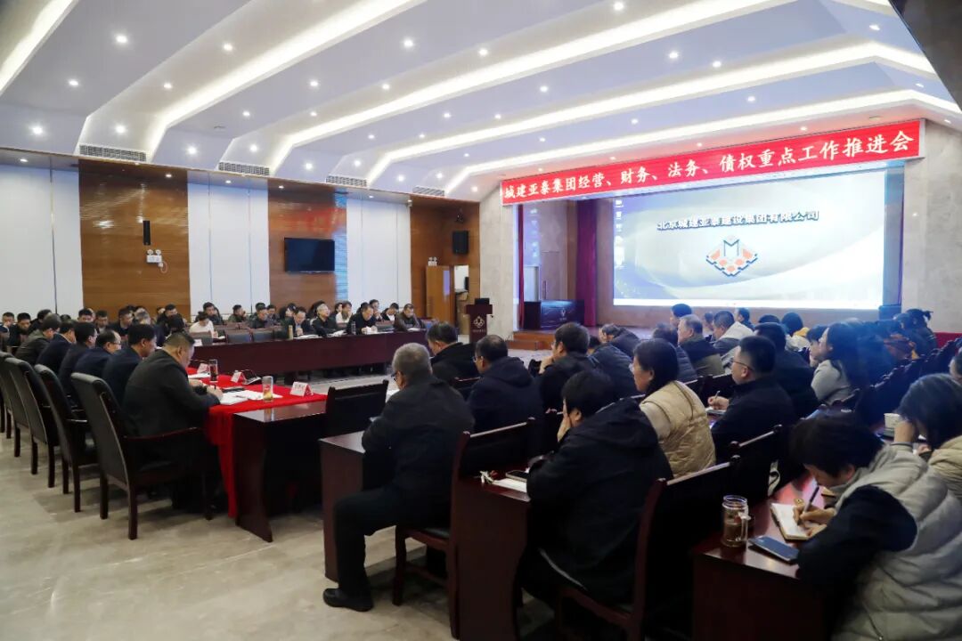 集团召开经营、财务、法务、债权重点工作推进会
